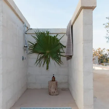Agave With Pool *