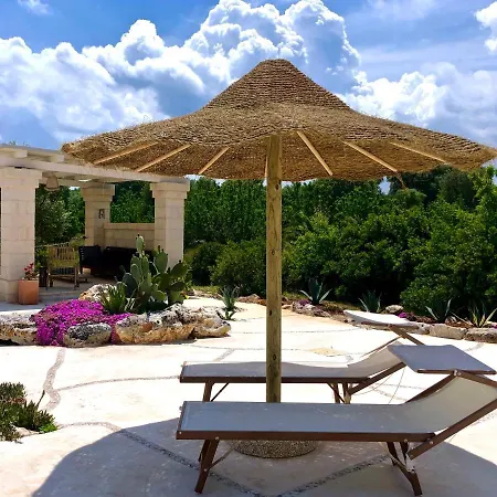 Agave With Pool